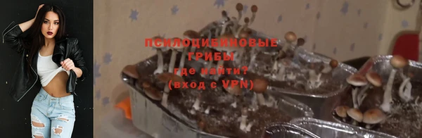 не бодяженный Осинники