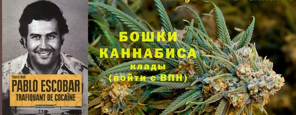 стафф Ельня